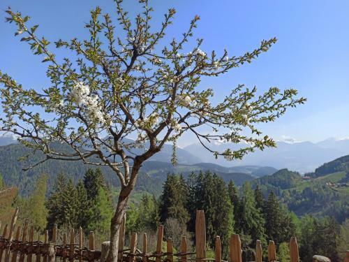 Apartamento Natur Appartement Riesen