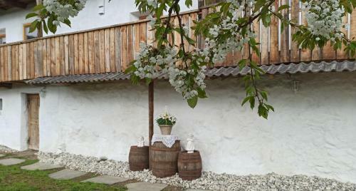 Apartamento Natur Appartement Riesen