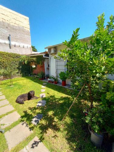 Apartamento Rolfi Y Fido