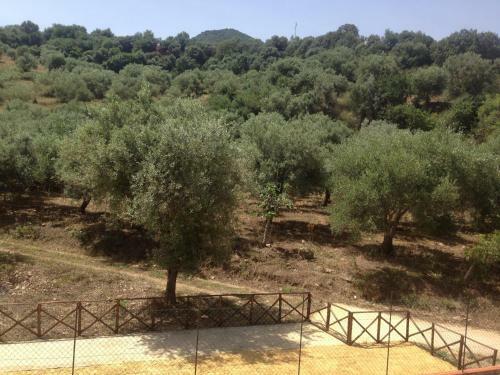 Agroturismo Villa Tiberio
