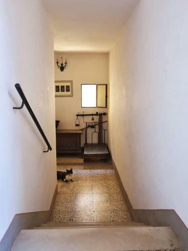 Apartamento Appartamento Benozzo