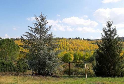 Agroturismo Agriturismo Casa Alla Madonna