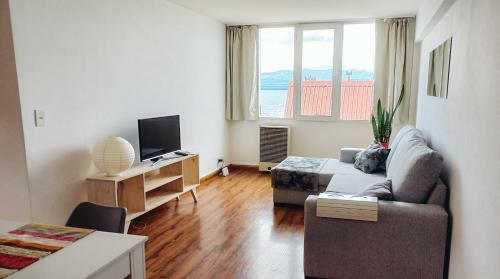 Apartamento Departamento C�ntrico Con Vista Al Lago