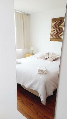 Apartamento Departamento C�ntrico Con Vista Al Lago