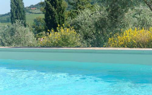 Apartamento Papavero Holiday Home