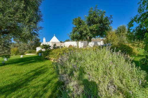 Apartamento Trullo Dei Sogni Con Jacuzzi