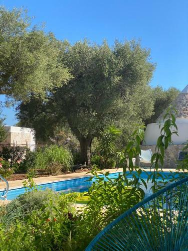 B&B Trullo Maria Elisabetta