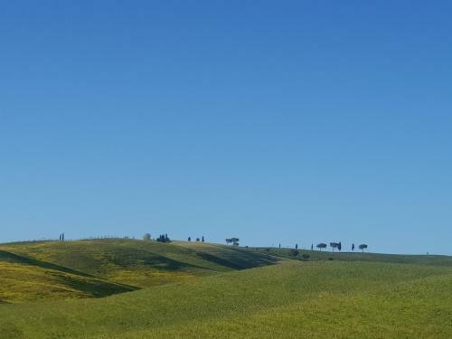 Bed & Breakfast Palazzetto Del Pittore