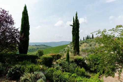 Vinaio A Montefiorile