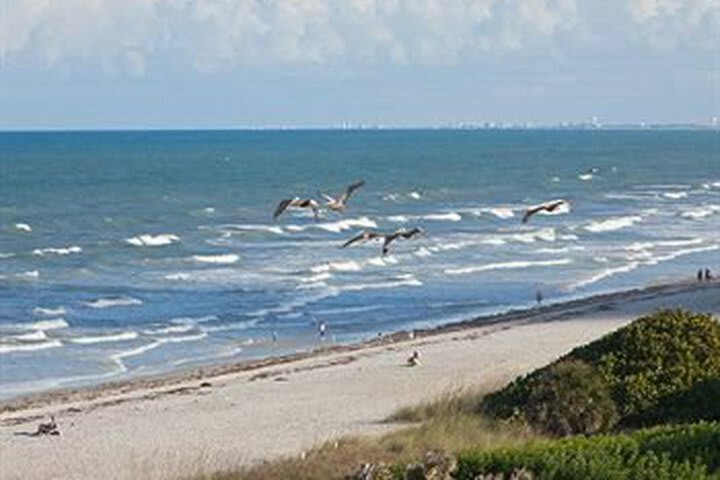 Hotel La Quinta Inn & Suites Cocoa Beach Oceanfront