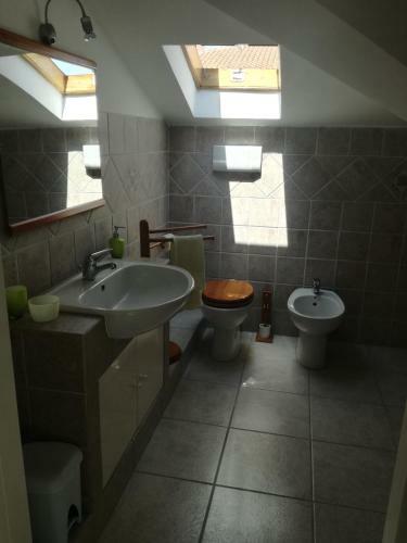 Apartamento Un'oasi Di Pace In Centro
