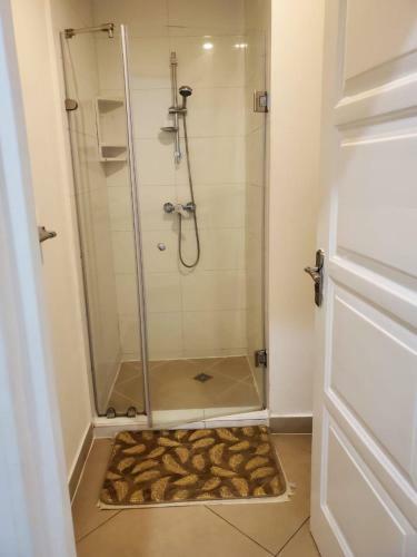 Fully Serviced Furnished 2 Bedroom Apartment