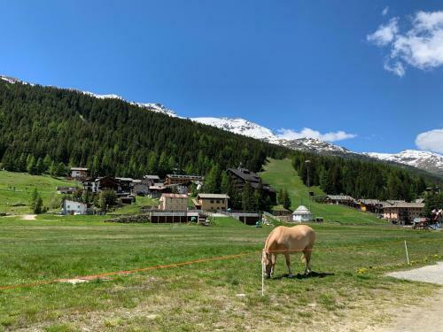 Apartamento Alloggio Belvedere, Con Accesso Diretto Sulle Piste Da Sci
