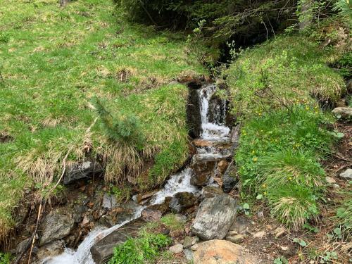 Apartamento Alloggio Belvedere, Con Accesso Diretto Sulle Piste Da Sci