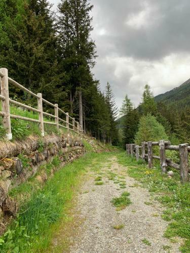 Apartamento Alloggio Belvedere, Con Accesso Diretto Sulle Piste Da Sci