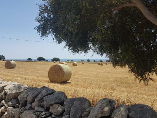Apartamento Izzhome Country