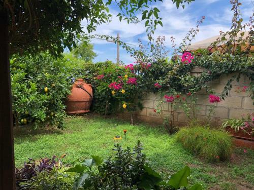 Apartamento Casale Ristrutturato 3 Km Tropea