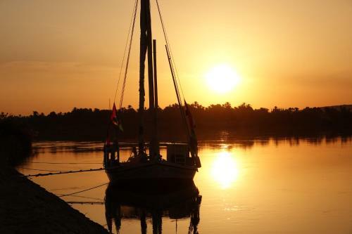 Jj Jamaica Felucca