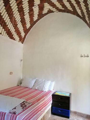 Hostal Animalia Rooms 2