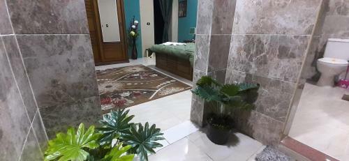 Albergue Cairo Plaza Hotel
