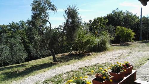 Bed & Breakfast Colombaio In Colle