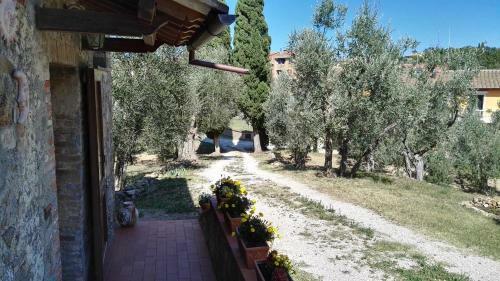 Bed & Breakfast Colombaio In Colle