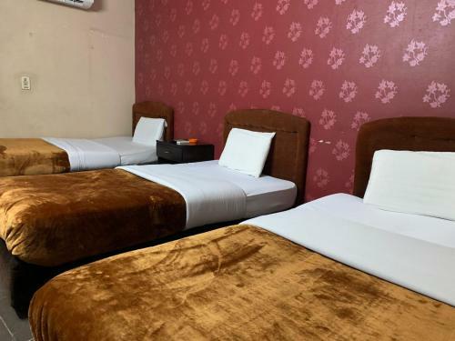Albergue Kerotel Egypt