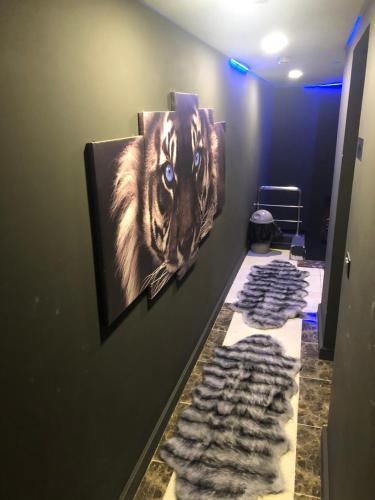 Apartamento ????? ??? ?????