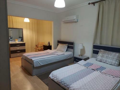 Nasr City Villa