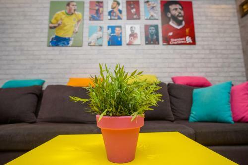 Cozy 5 Stars Apartment At New Cairo