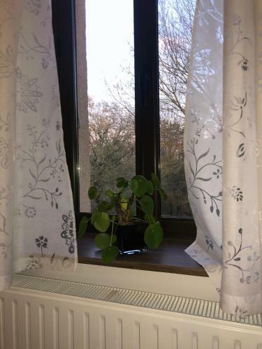 Bed & Breakfast Bordeneuve Spa Et Bien-�tre