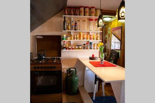 Attic Wooden Apartment