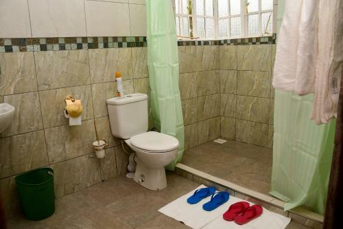 Hostal Vintage Guest House