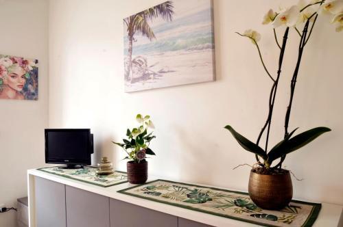 Apartamento Cristina Home Centralissimo Citra , 008055-lt-1538