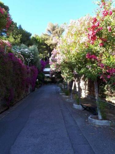 Apartamento Sanremo Sole Surf E Relax Casa Sul Mare