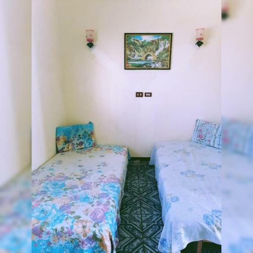 Hotel El Safa Camp