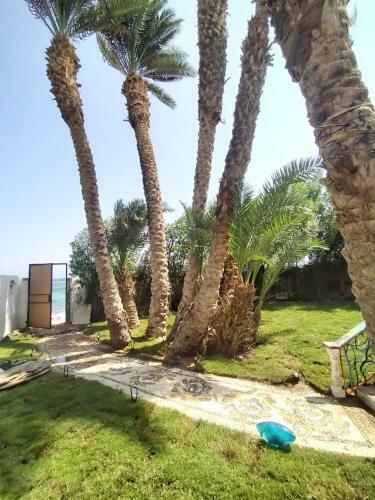 Apartamento Skyrock Garden Dahab