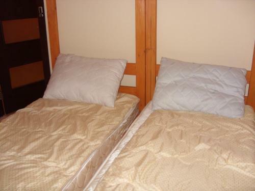 Your Hostel