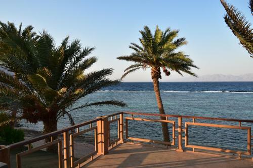 Sky Caba�a Dahab