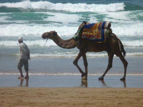 Bed & Breakfast Tigmi Blue - Imsouane Surf Et Oc�an