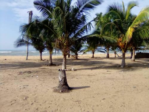 Bed & Breakfast Travellers Beach Resort