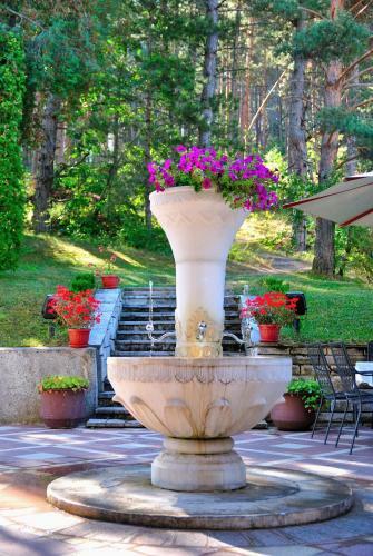 Velina Spa Hotel