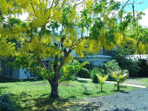 Apartamento Cap Heureux Villas