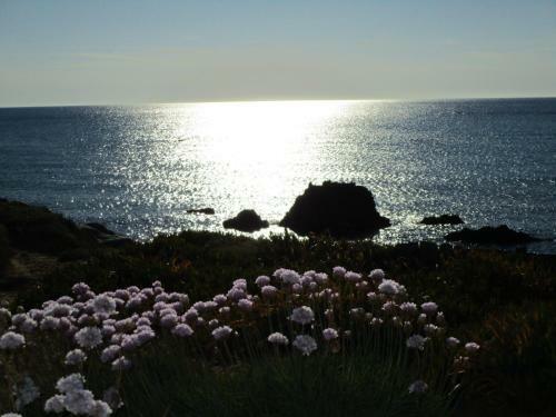 Apartamento Residence Ulisse