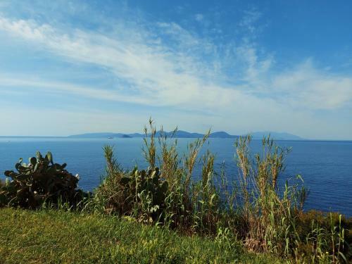 Apartamento Appartamento A San Vincenzo