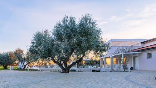 Villa La Perla Tra Gli Ulivi 12
