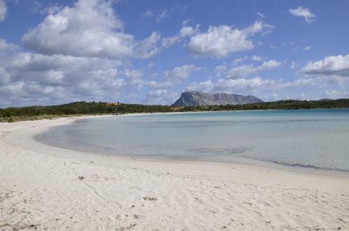 Le Villette Di San Teodoro