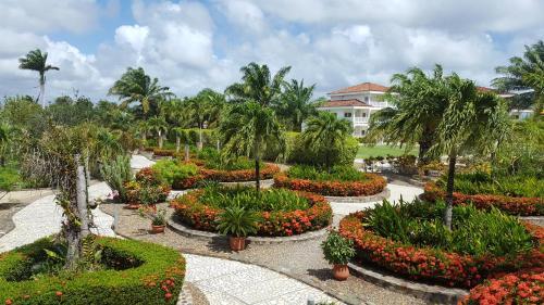 The Placencia Hotel And Residences