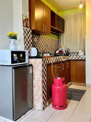 Apartamento A Beautiful Studio In Kisumu.