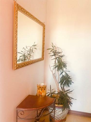 Apartamentos Fortuna Beach